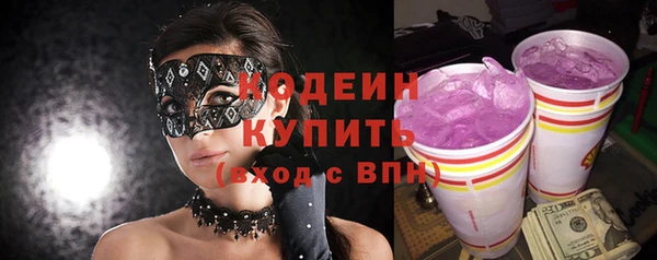 МДПВ Бородино