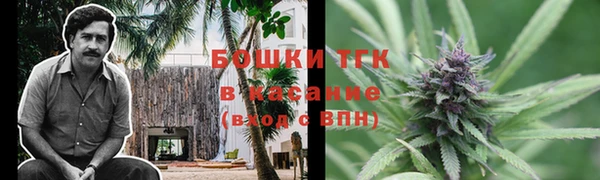 МДПВ Бородино