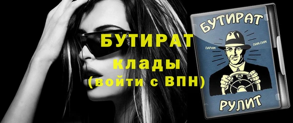 МДПВ Бородино