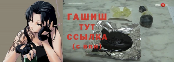 МДПВ Бородино