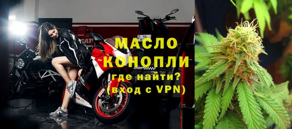 МДПВ Бородино