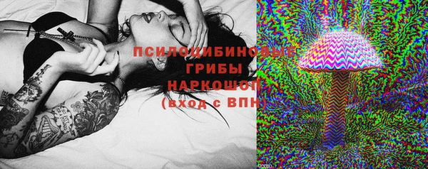 МДПВ Бородино