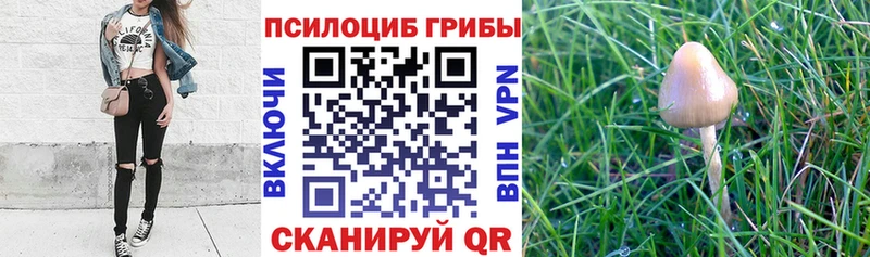 Купить закладки  Малая Вишера  Галлюциногенные грибы ЛСД 